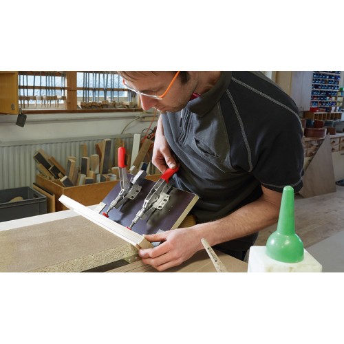 Bessey Bridas de amarre rápido Serie STC-IHH 25 mm