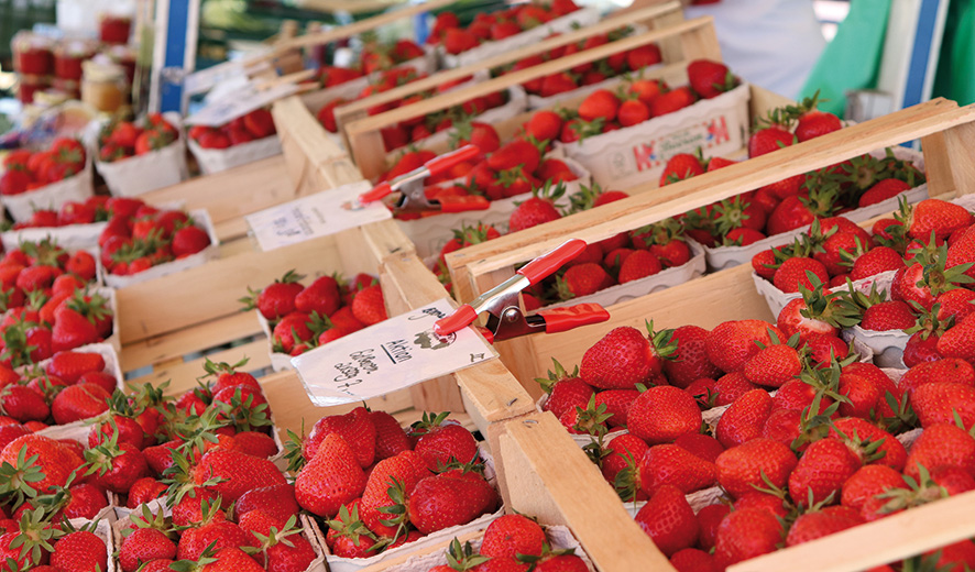 Bessey Pinza de resorte metálicas XM 25 mm