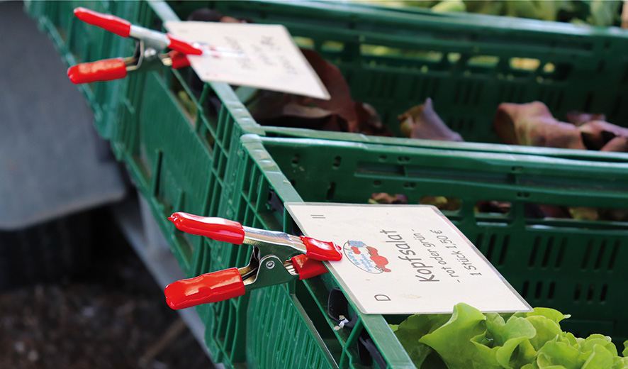 Bessey Pinza de resorte metálicas XM 25 mm