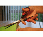 Bessey Tijeras uso universal D821 160 mm