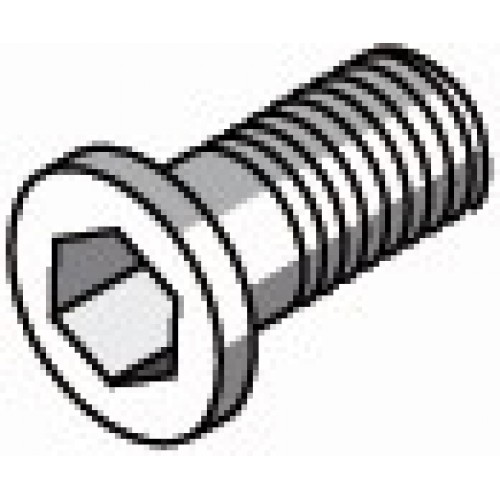 TORNILLO PORTAPLAQUITAS TORNEADO - 8816 - Tornillo allen 2-M3X0,5-5,9X4,1Xø5,5 (pack 5 uds.  -  precio/ud.)