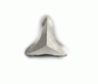 ACCESORIO REBARBADORES - 8351 - HSS SC80