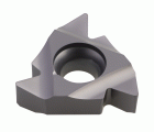 PLAQUITA INTERCAMBIABLE ROSCADO EXTERIOR WHITWORTH 55° - 8617 - TN-16-ER-A55-P-620