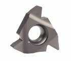 PLAQUITA INTERCAMBIABLE ROSCADO EXTERIOR WHITWORTH 55° - 8617 - TN-16-ER-A55-P-620
