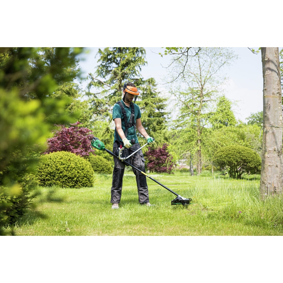 Cortacésped/desbrozadora CG36DBW4Z