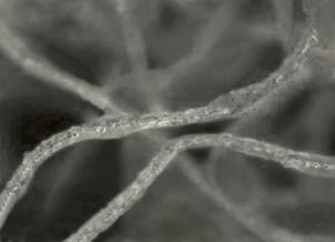 3M™ Scotch-Brite™ Deburr & Finish Pro Disco Unitized DP-UD, 115 mm x 22 mm, 2S Súper Fino+