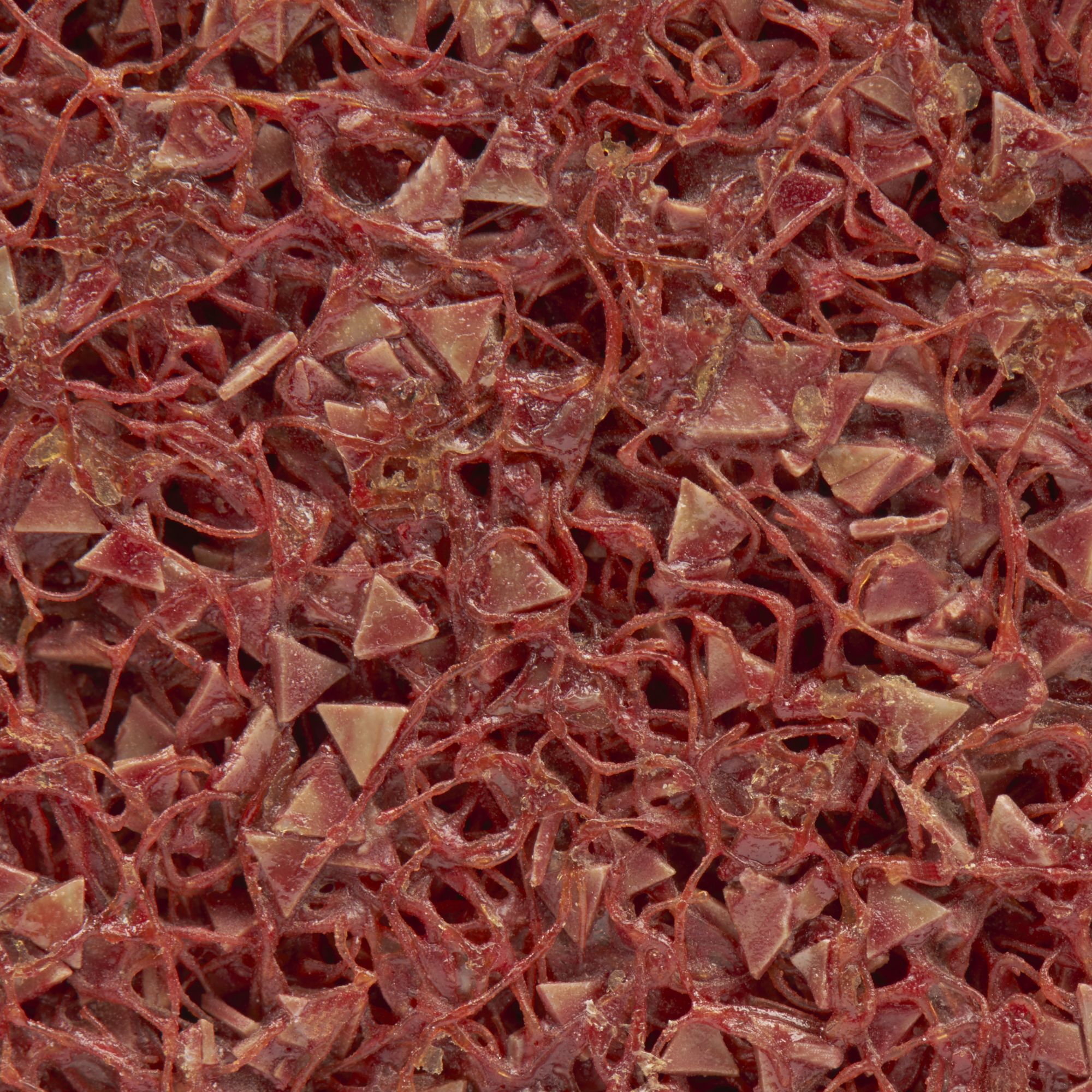 3M™ Scotch-Brite™ Rapid Cut Unitized Disco RC-UW, 152 mm x 9,5 mm x 25 mm, 7C Extra Basto+