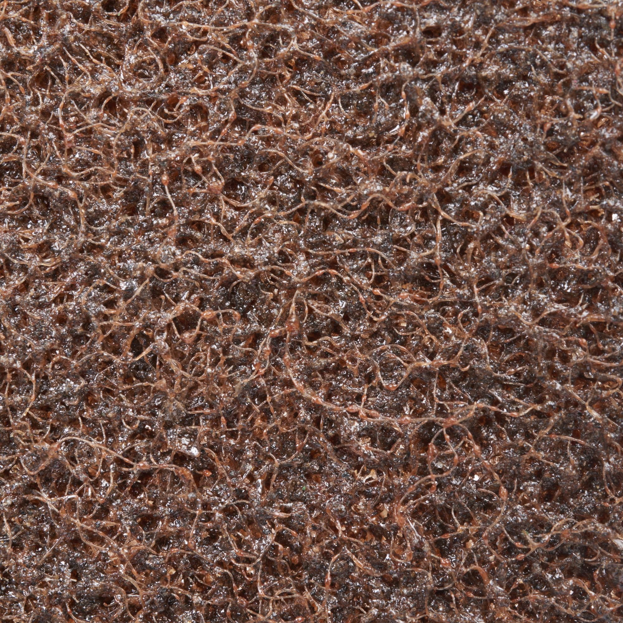 3M™ Scotch-Brite™ Disco Surface Conditioning SC-DH, 115 mm x Sin agujero central, A Basto (20 discos/caja)