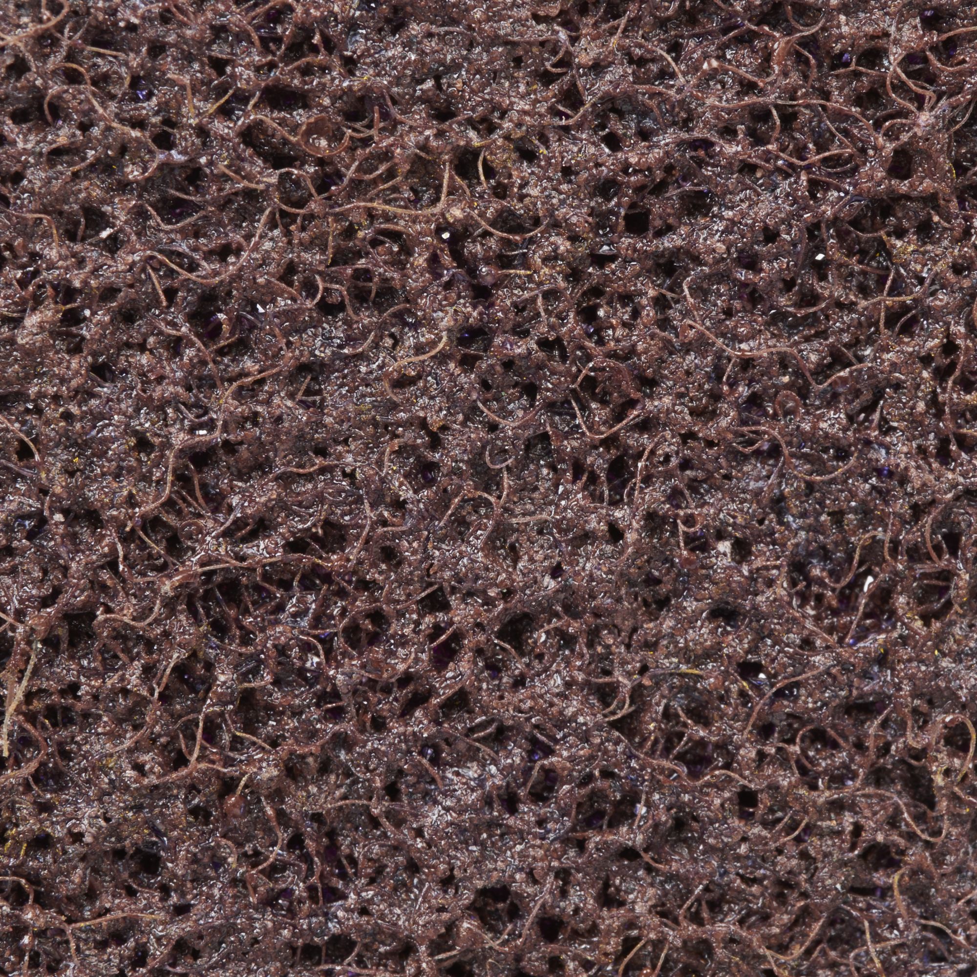 3M™ Scotch-Brite™ Disco Surface Conditioning SC-DH,  75 mm, Fino