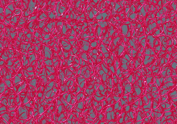 3M™ Nomad™ Tapete Terra Tráfico medio 6850, Vermelho, 1.2 m x 6 m, 1/Caixa