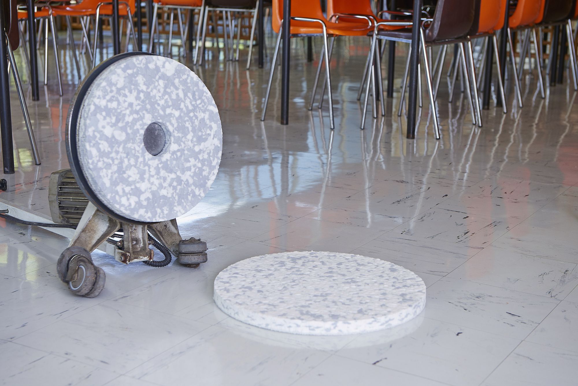 3M™ Discos Melamina limpieza puntual Gris/Blanco (406 mm, Caja de 5)