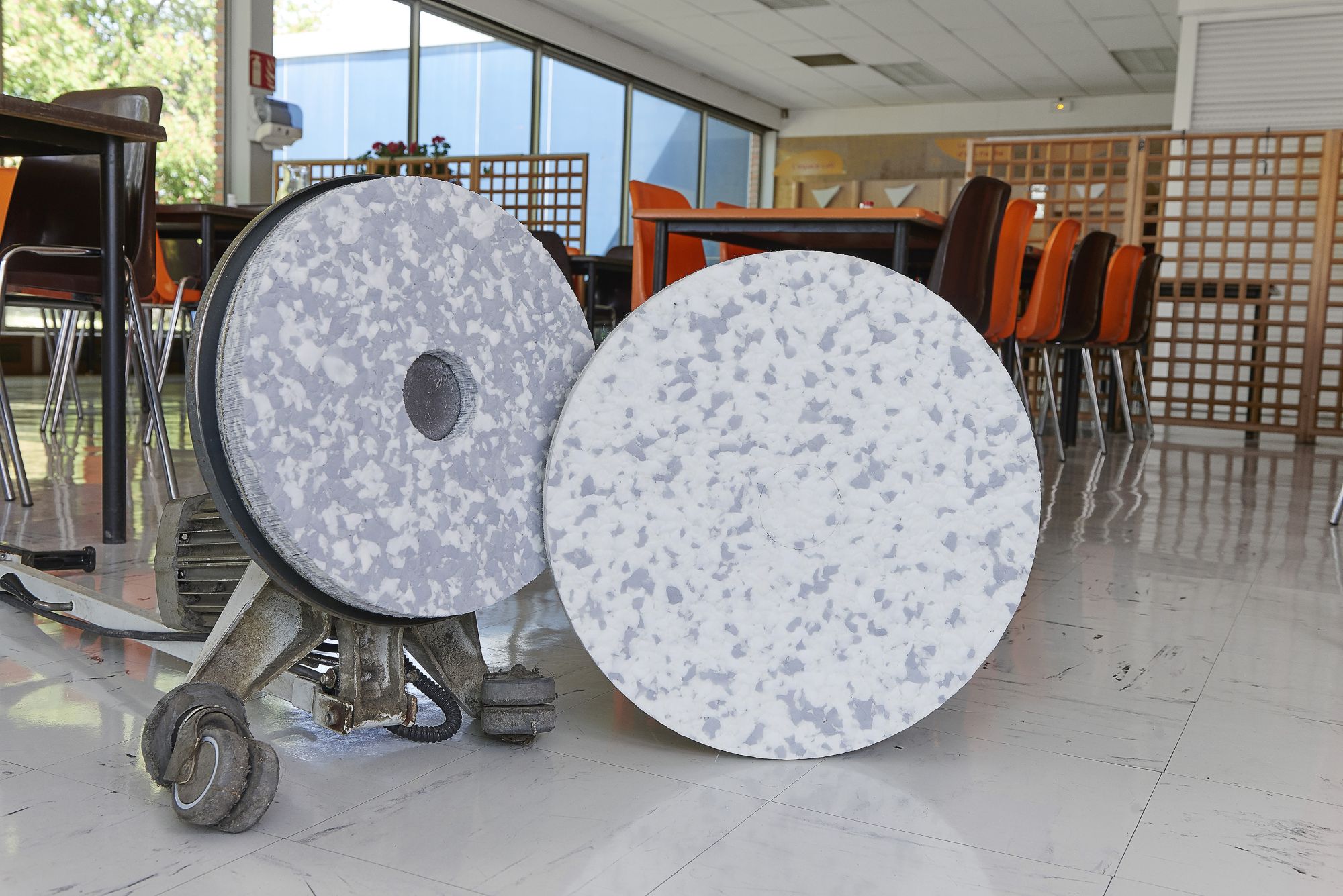 3M™ Discos Melamina limpieza puntual Gris/Blanco (406 mm, Caja de 5)