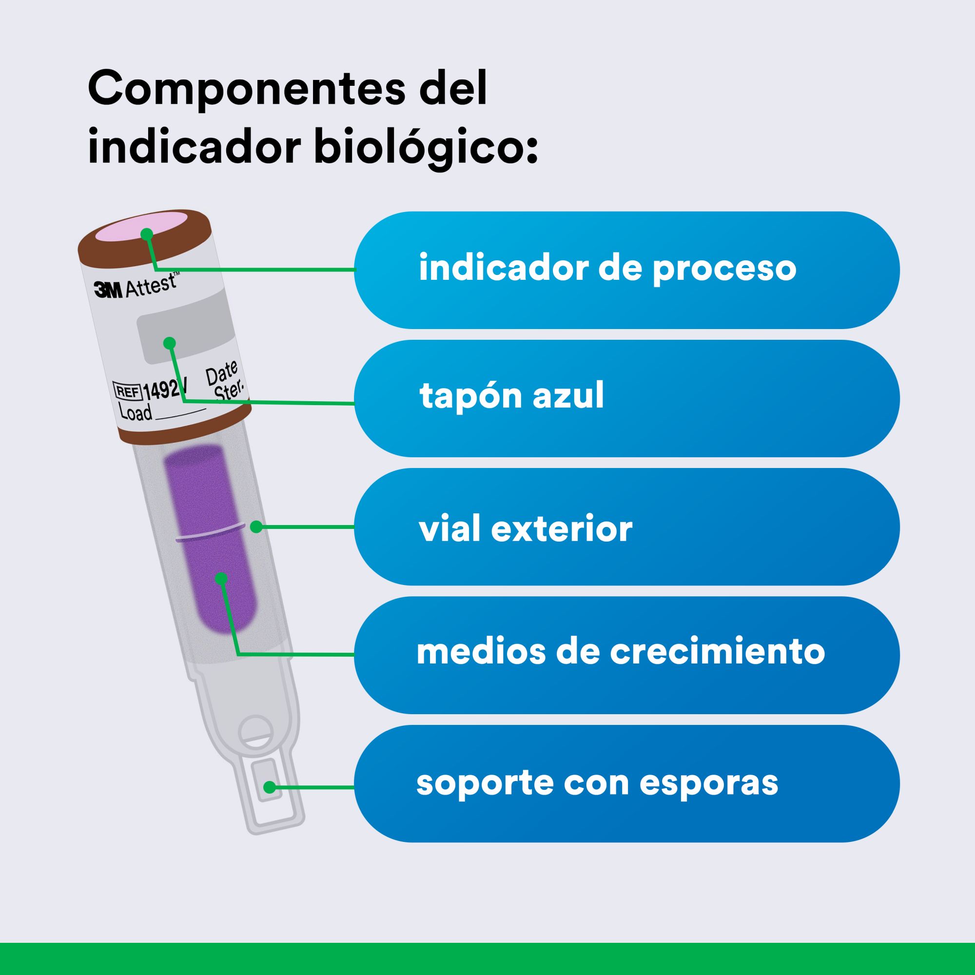 3M™ Attest™ 1492V Indicador Biológico de Lectura Súper Rápida y Paquete de Desafío para Vapor Resultado Súper Rápido en 1 Hora, 50 UN/CJA, 4 CJA/EBJE