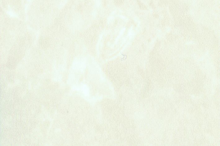 Revestimiento 3M™ DI-NOC™ ST-736 EX Stone (1.22 m x 50 m)