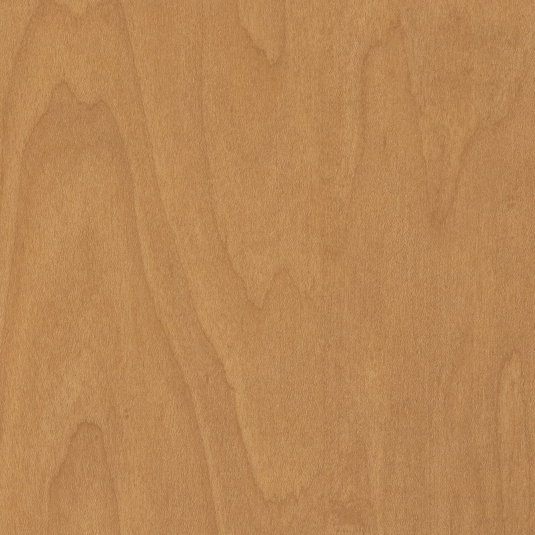 Revestimiento 3M™ DI-NOC™ WG-242 Wood Grain (1.22 m x 50 m)