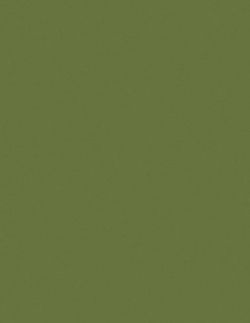 3M™ Film de pulido 261X, Hoja de 30 micras, 215.9 MM × 0.279 M, caja de 200 unidades en envases de 50 unidades