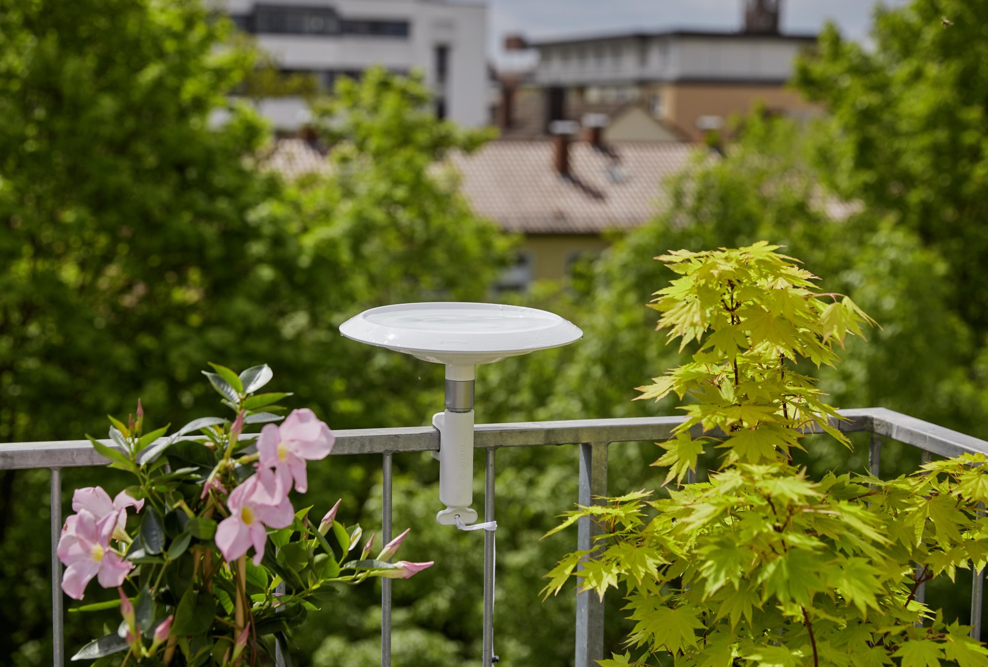 ClickUp! Baño para pájaros