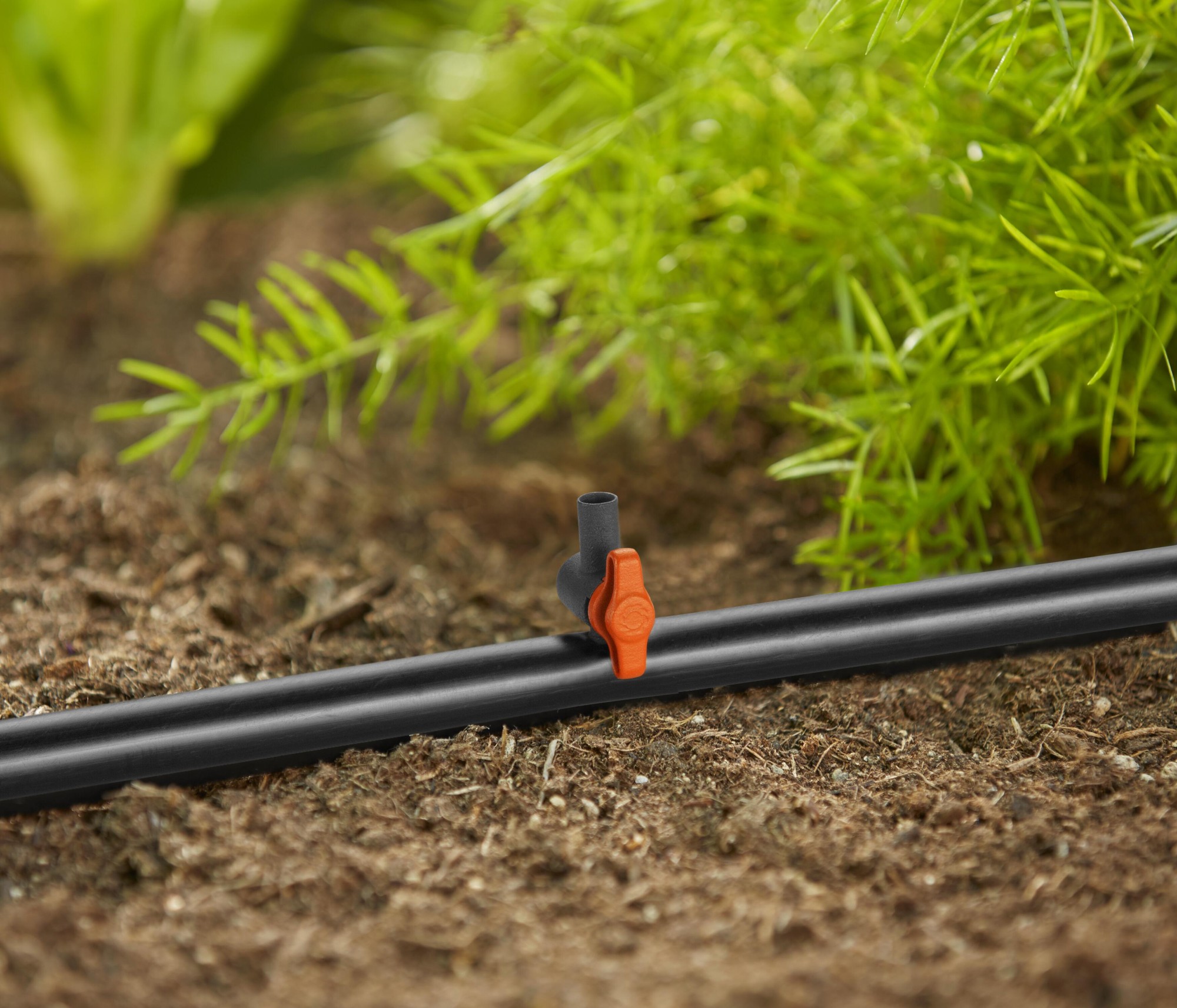 Válvula de regulación