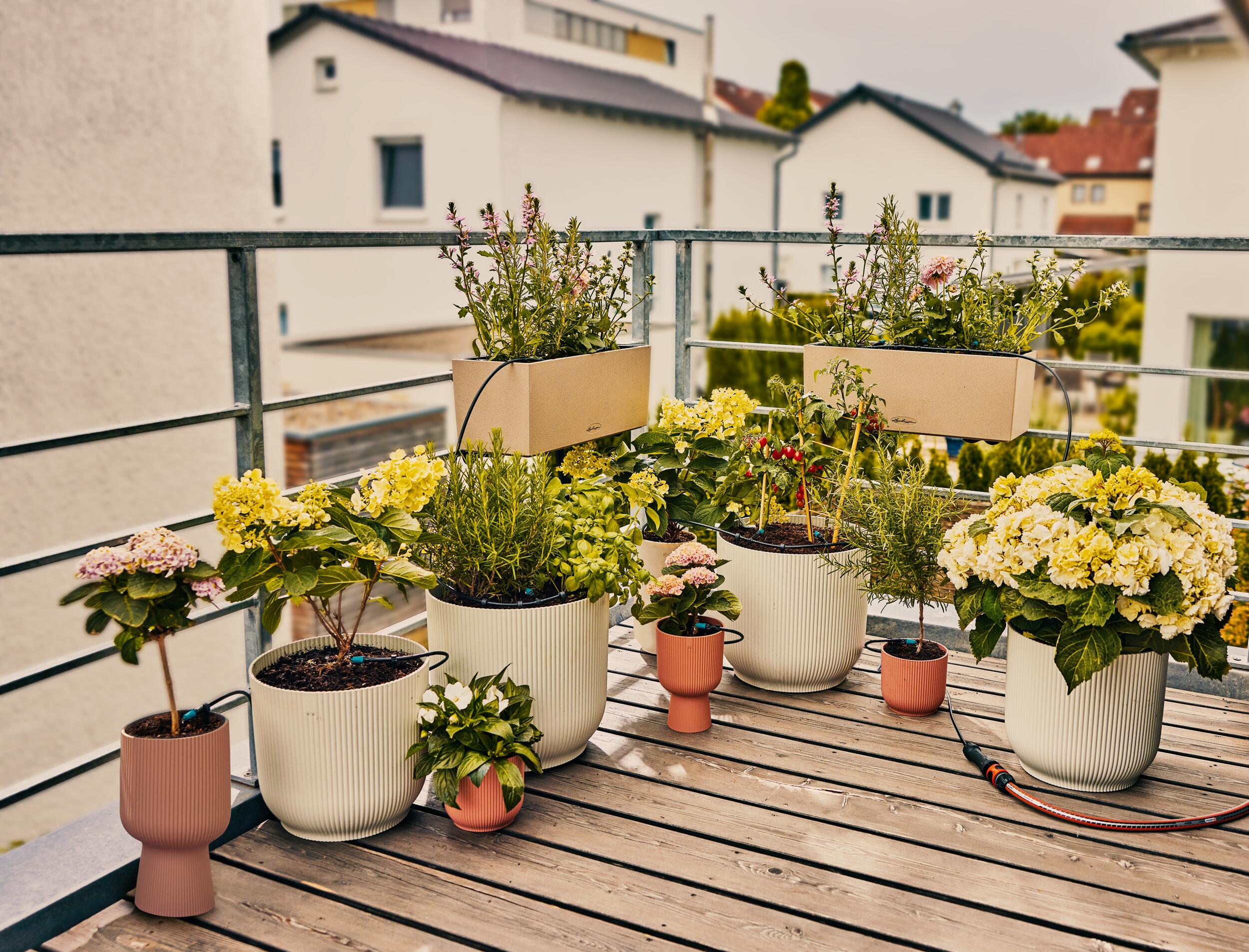 Set Balcones Micro-Drip ​(15 plantas)​