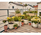 Set Balcones Micro-Drip ​(15 plantas)​