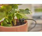 Set Balcones Micro-Drip ​(15 plantas)​