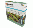 Set de inicio para parterres y parterres elevados (35 plantas)