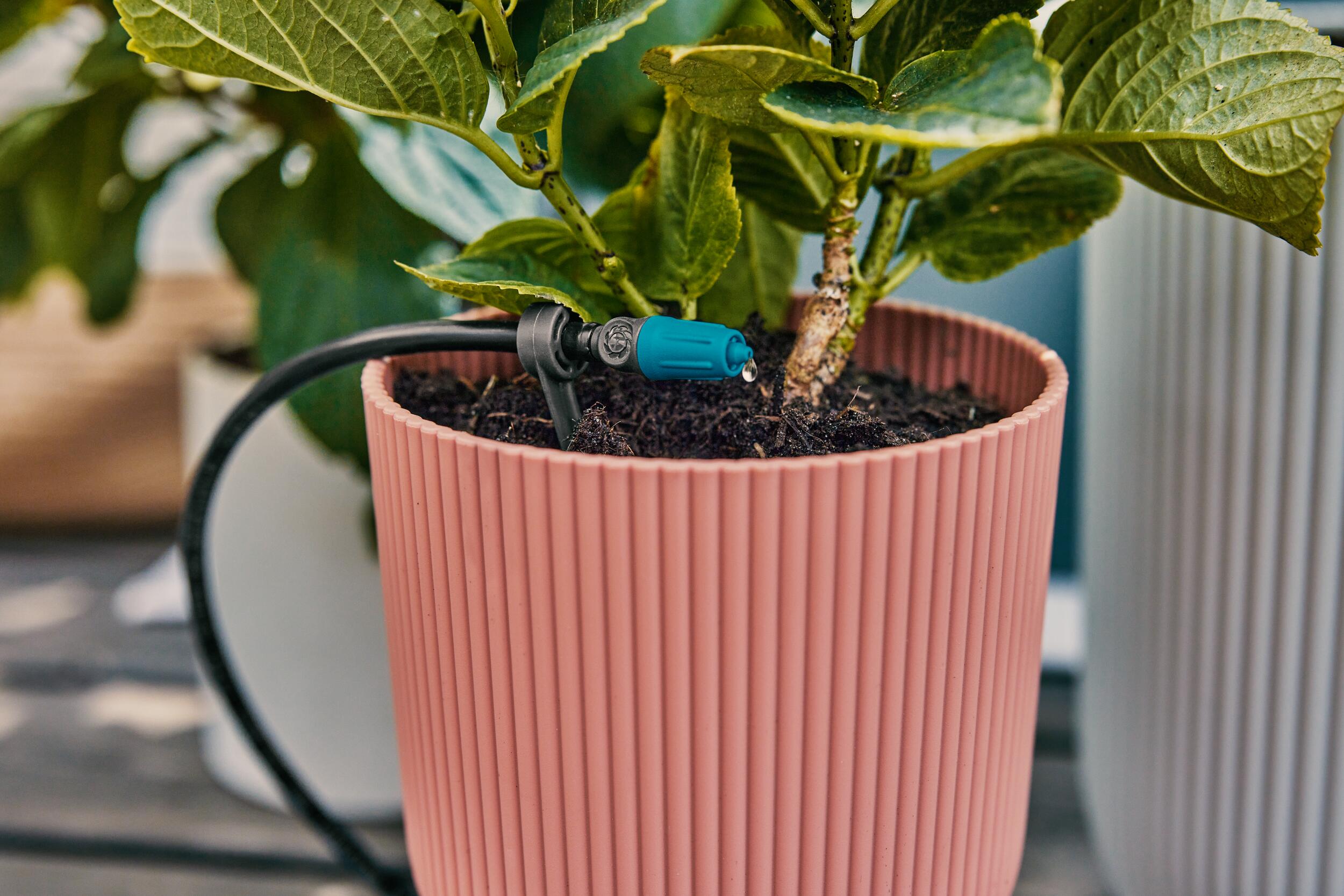 Conjunto de terraza de riego por micro-drip (30 plantas)