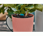 Conjunto de terraza de riego por micro-drip (30 plantas)