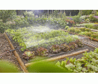 Set  Micro-Drip de hortalizas/bordes de flores con riego por goteo (60 m²)