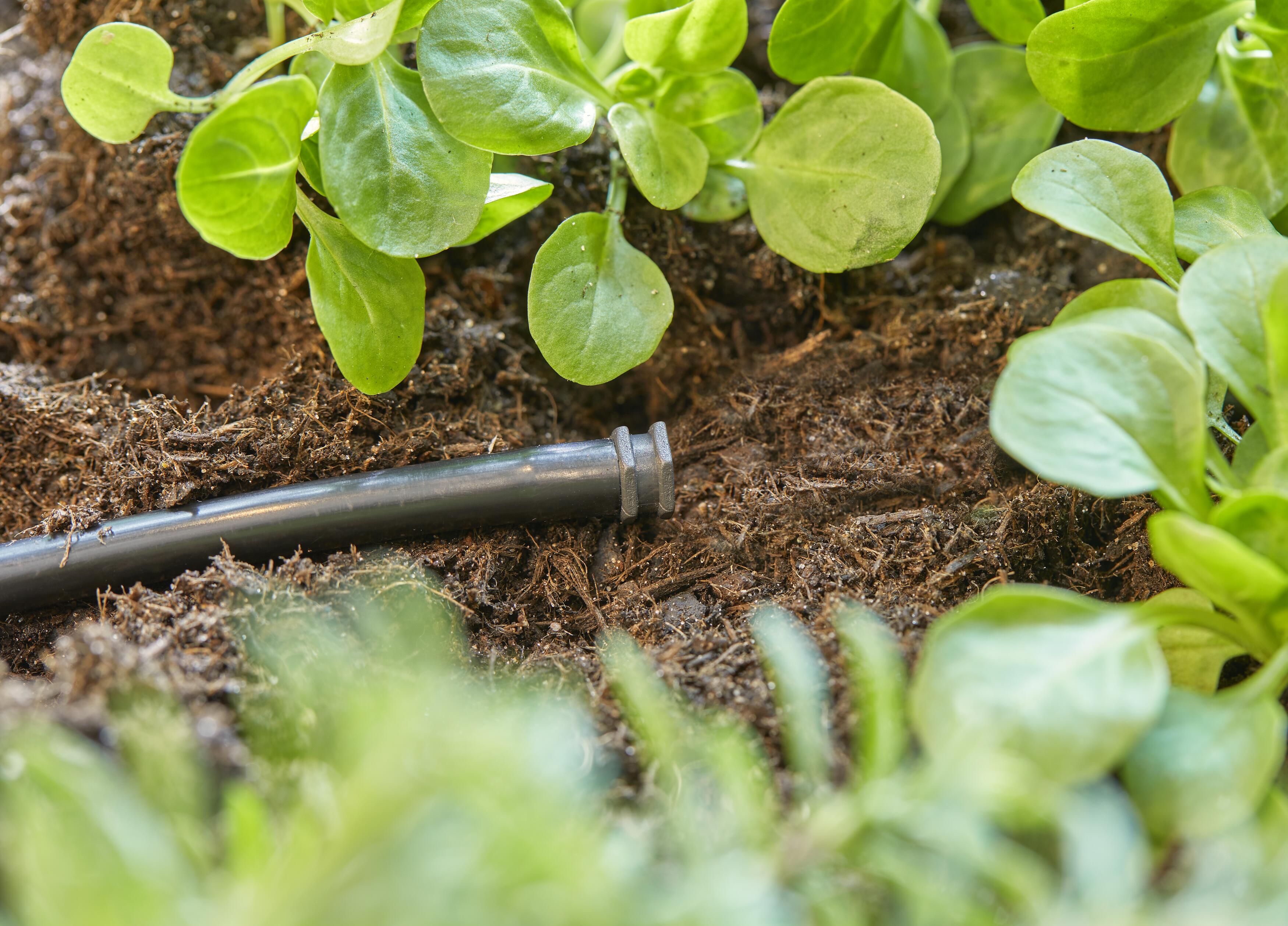 Tapón 4.6 mm (3/16 \")