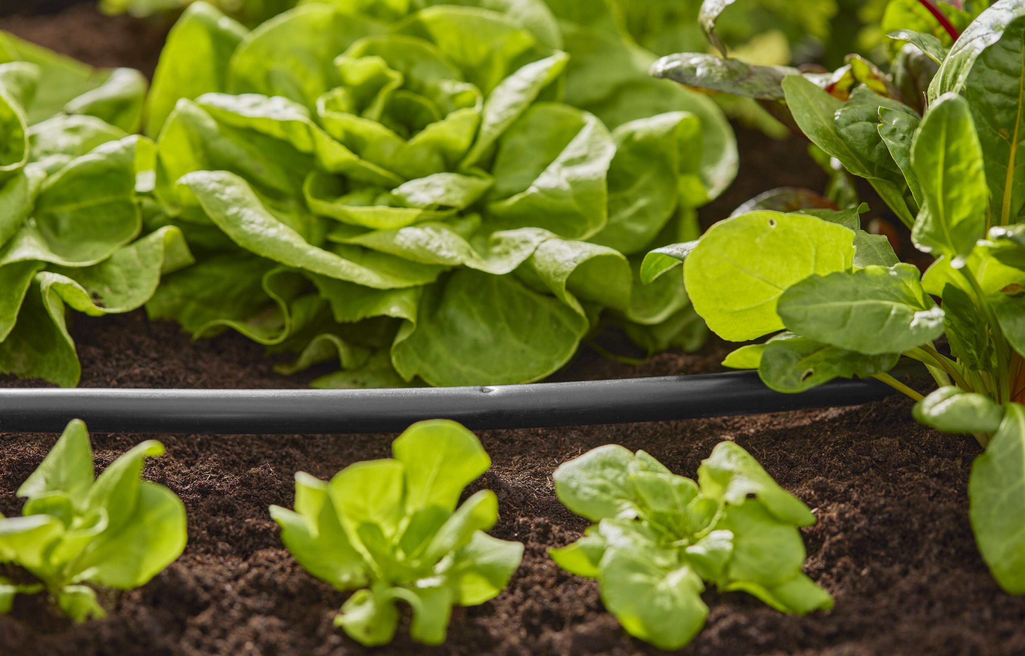 Tubo de conexión Flex 13 mm (1/2