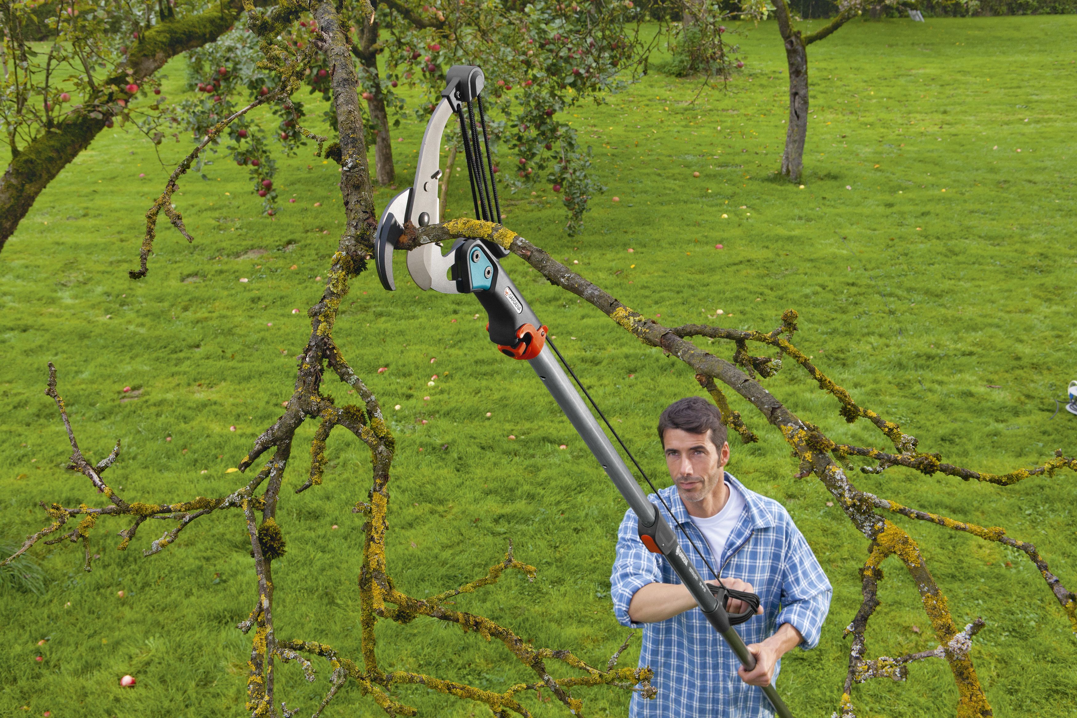 Tijera de pértiga de yunque Combisystem