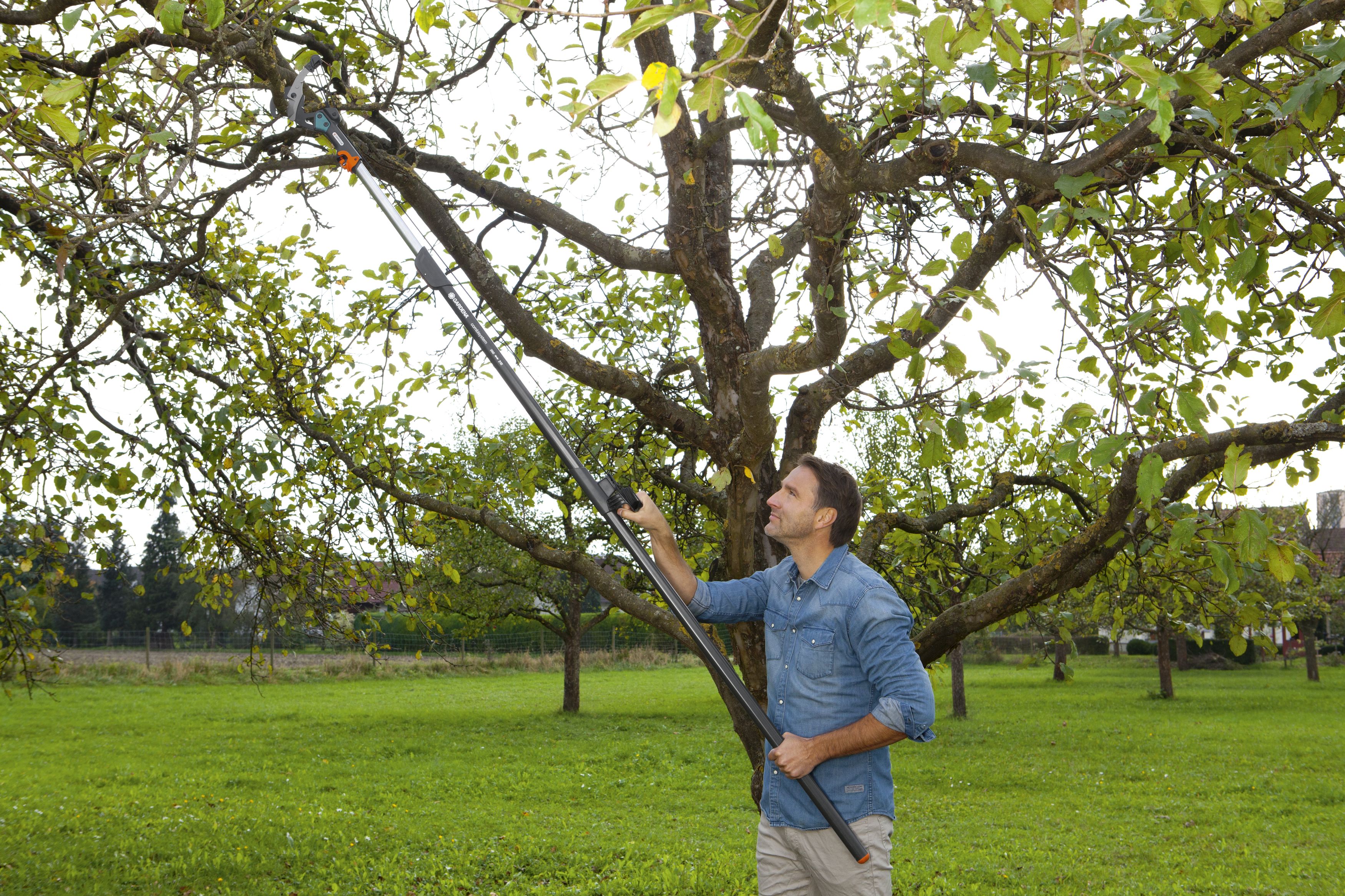 Tijera de pértiga Combisystem