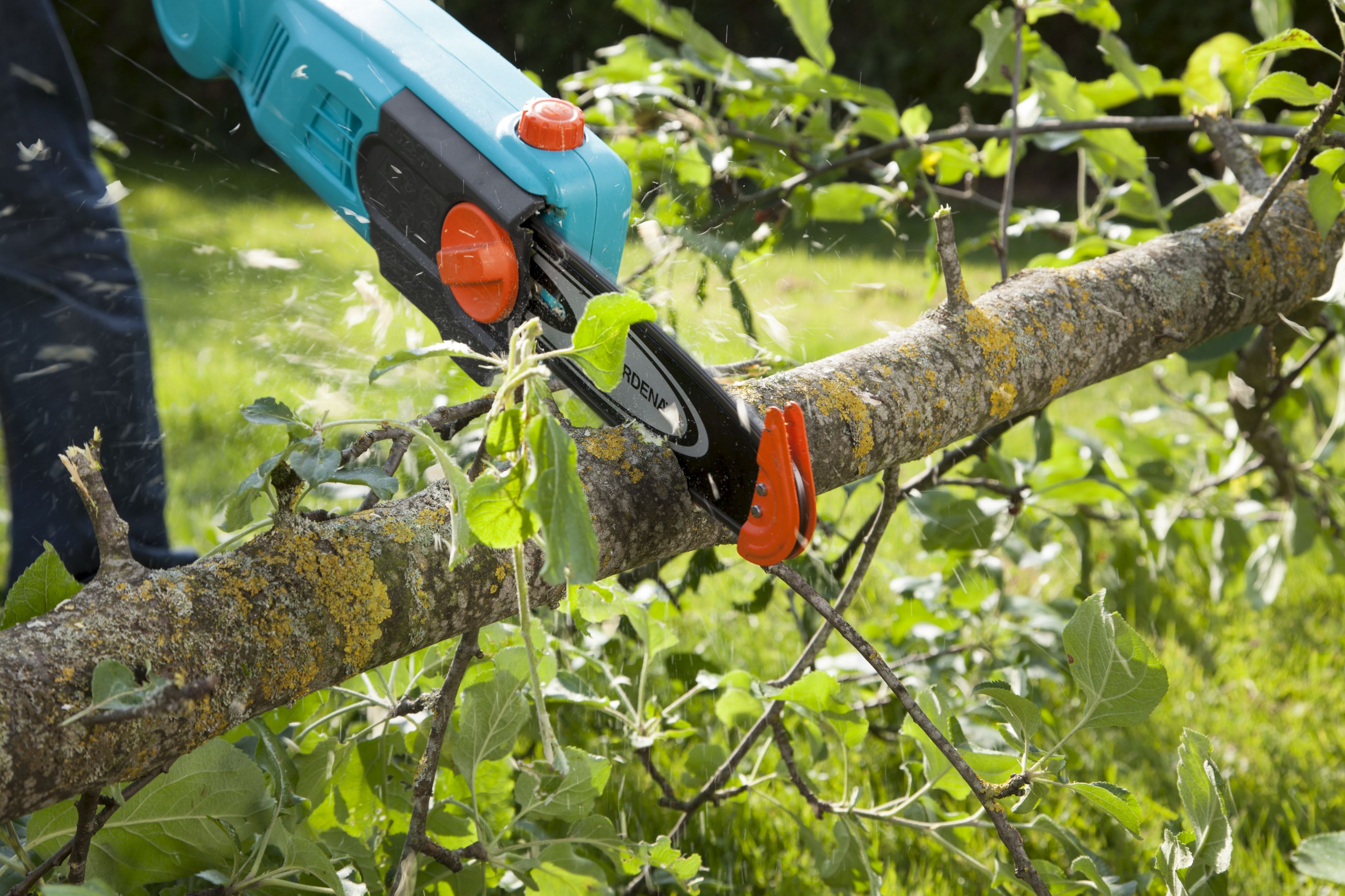 Sierra de pértiga telescópica TCS 720/20