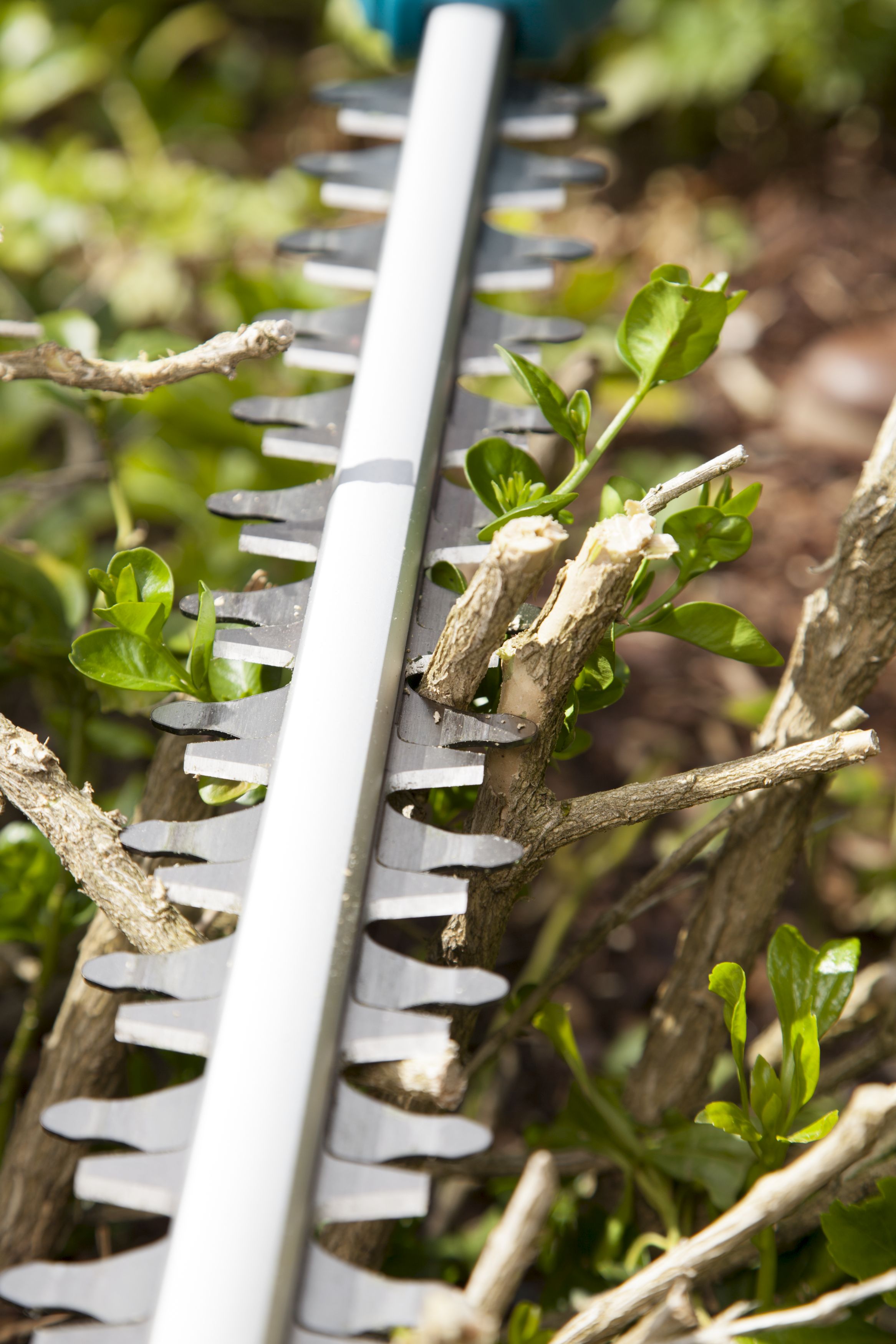 Recortasetos telescópico THS 500/48