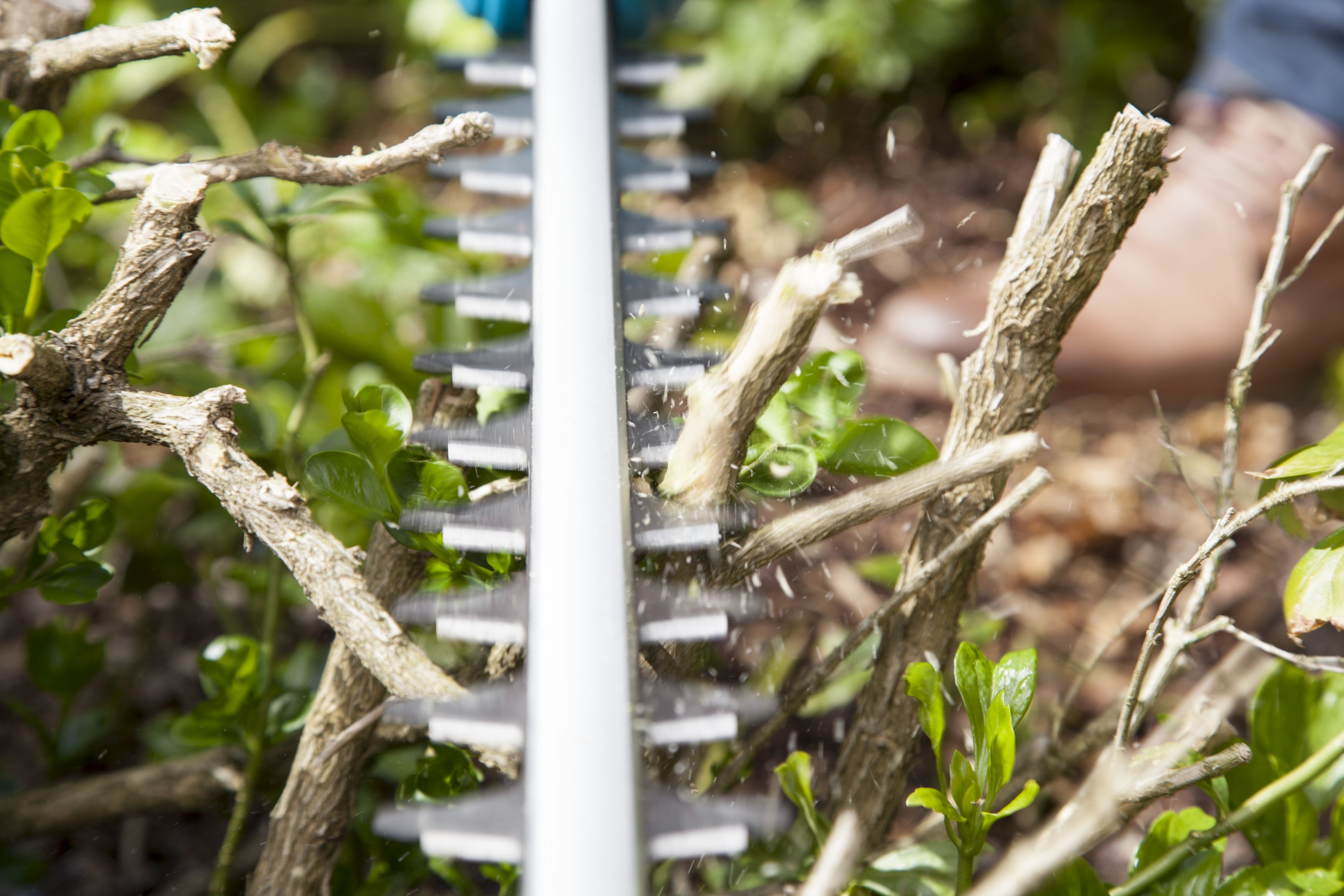 Recortasetos telescópico THS 500/48