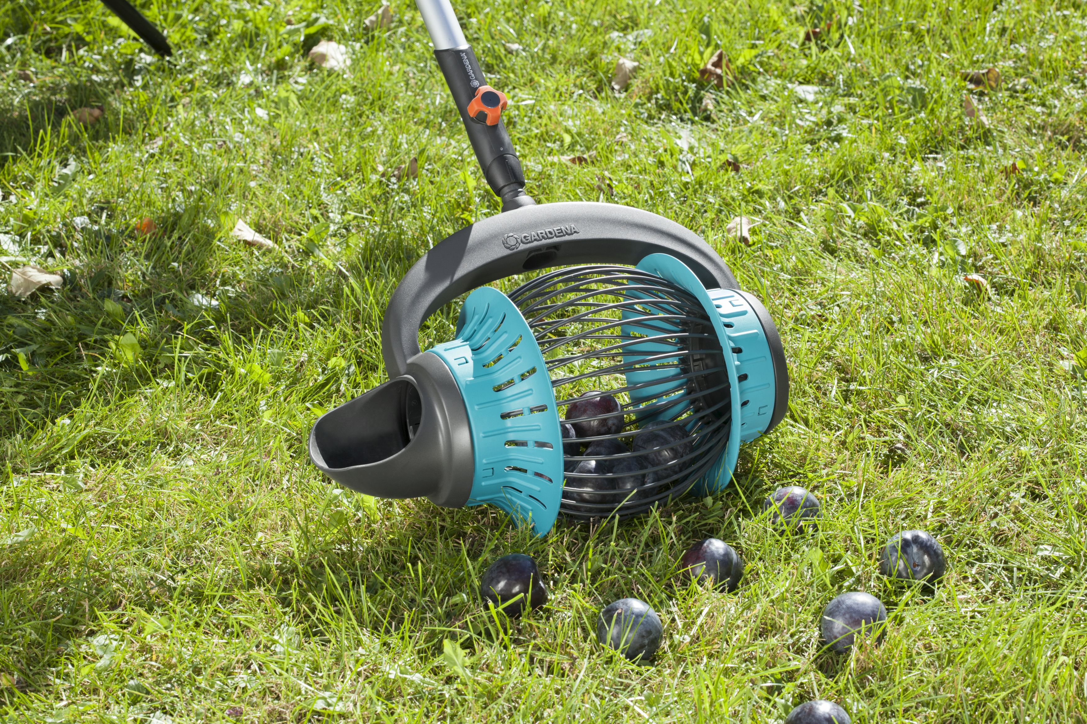 Kit Recoge frutas Combisystem (incluye mango)