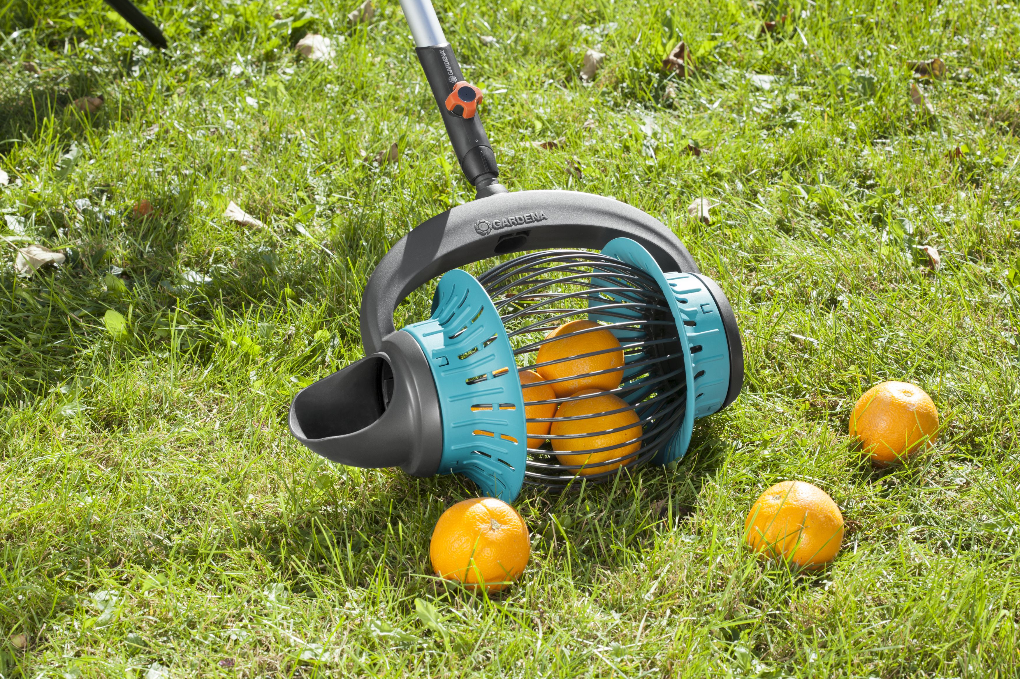 Kit Recoge frutas Combisystem (incluye mango)