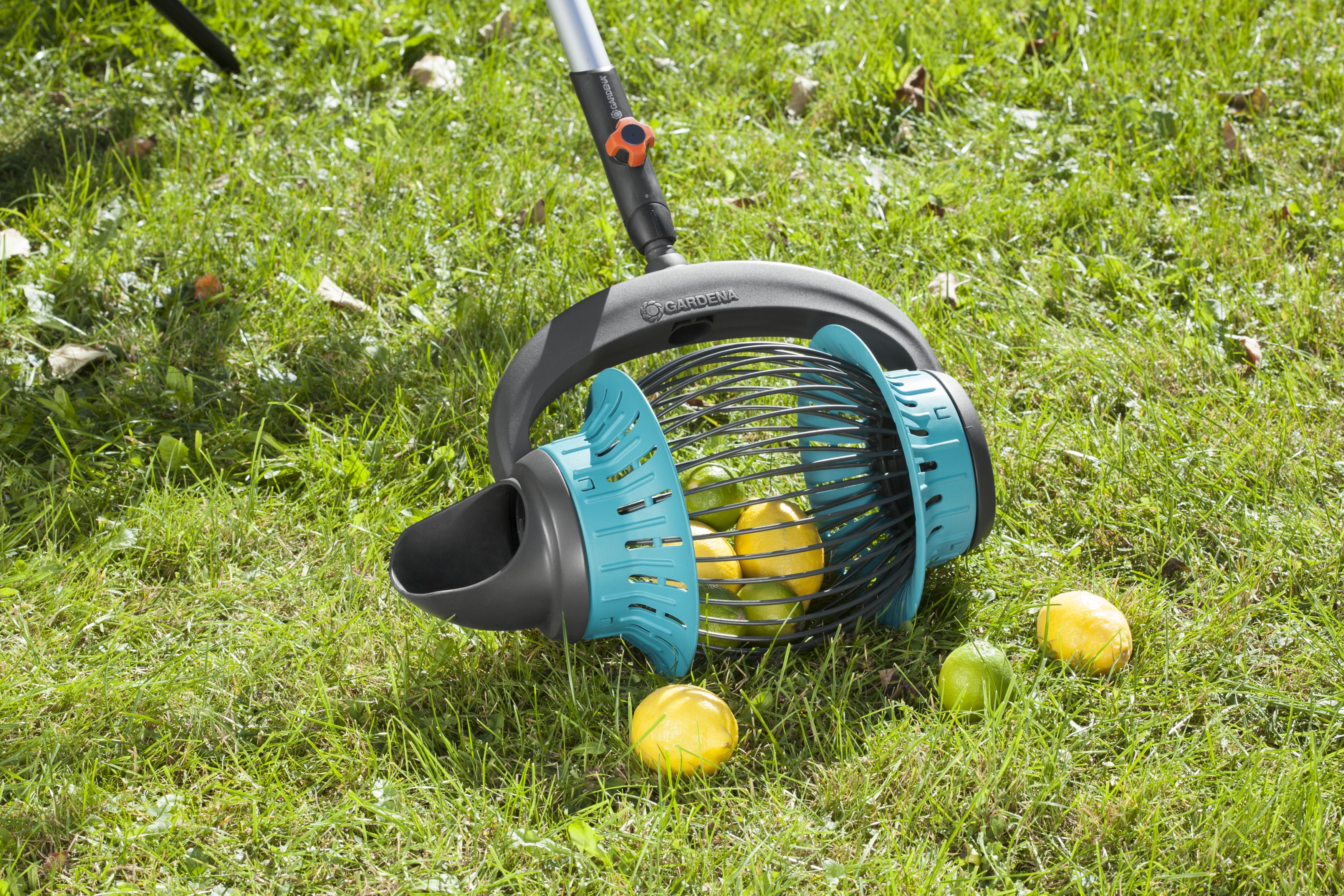 Kit Recoge frutas Combisystem (incluye mango)