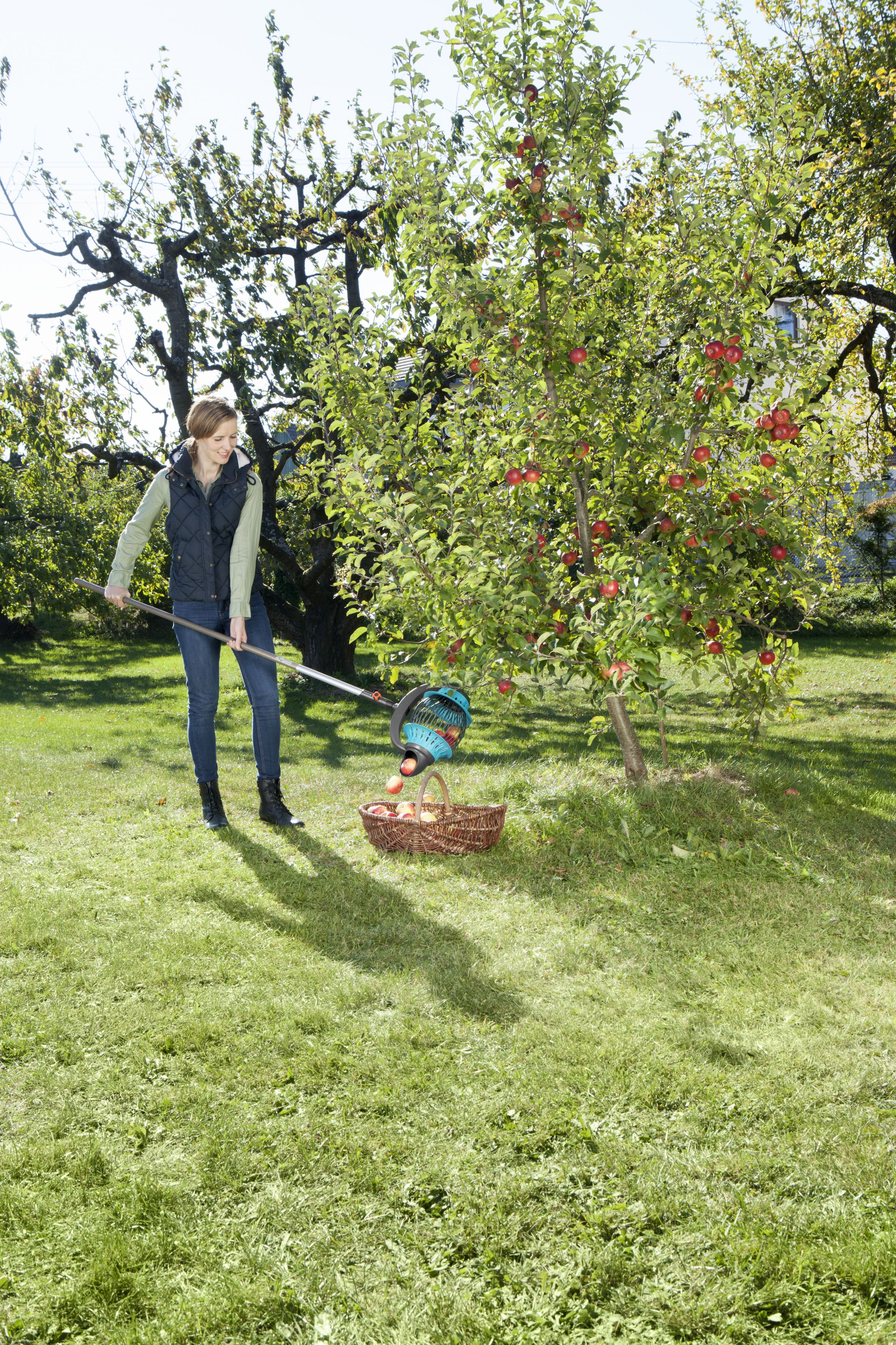 Kit Recoge frutas Combisystem (incluye mango)