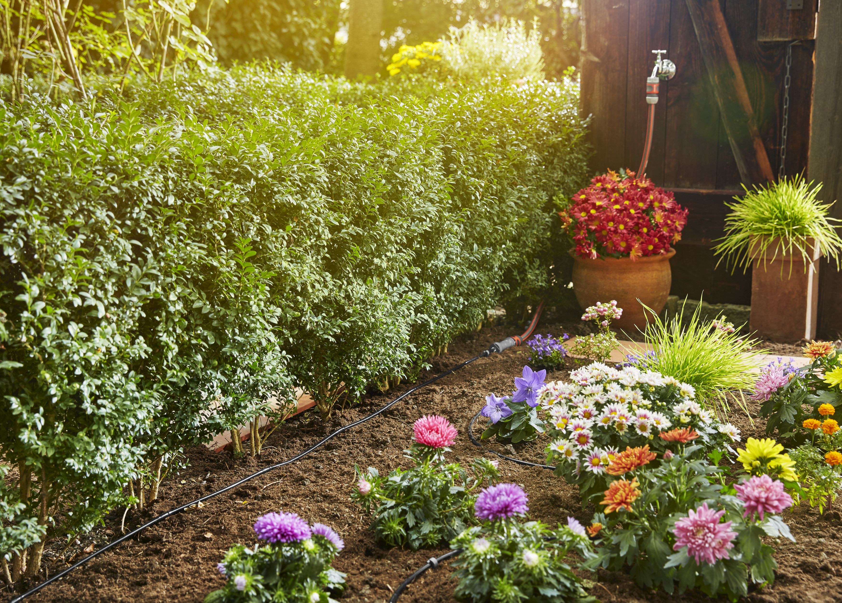 Set de inicio para hileras S 15m