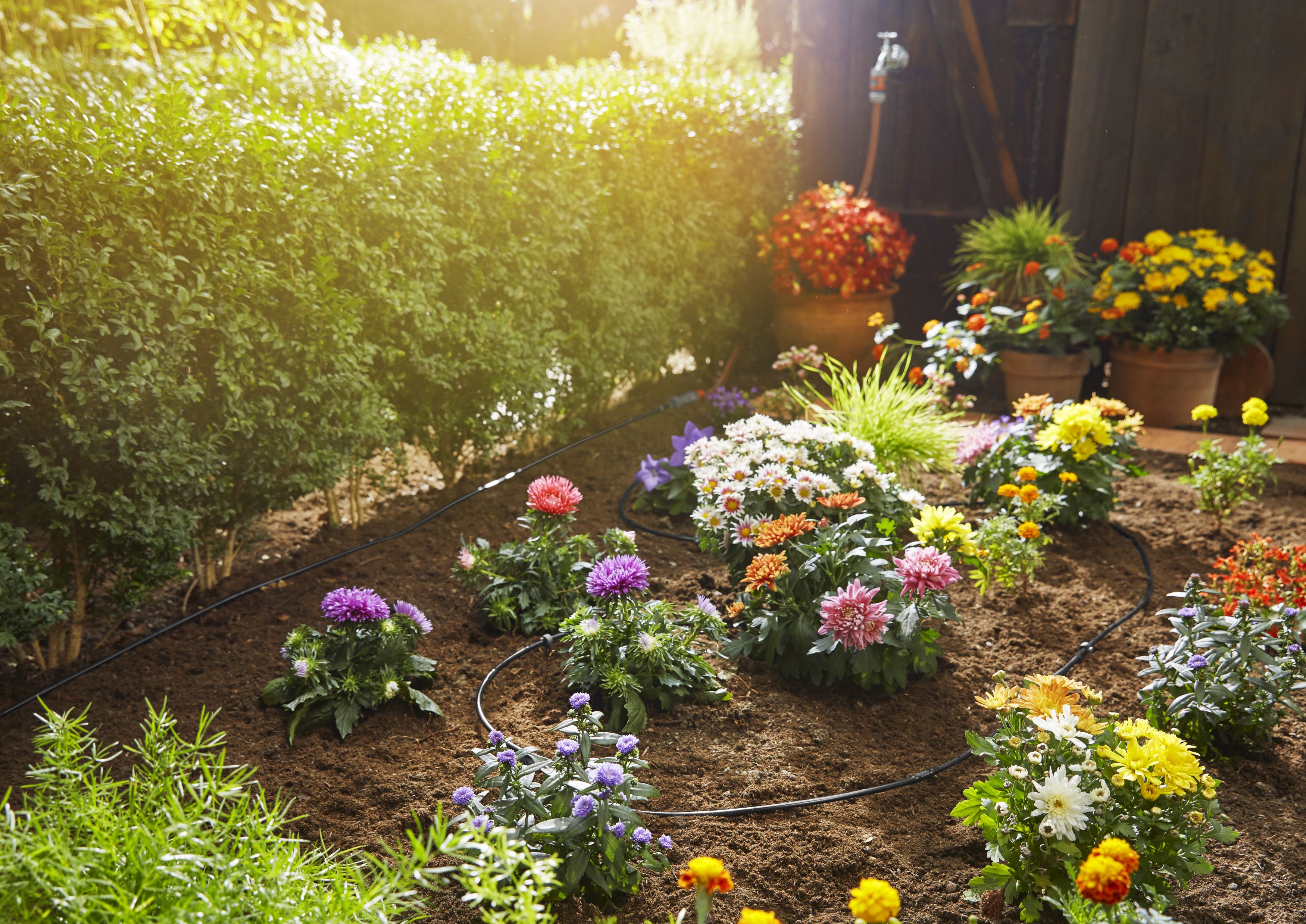 Set de inicio para hileras S 15m