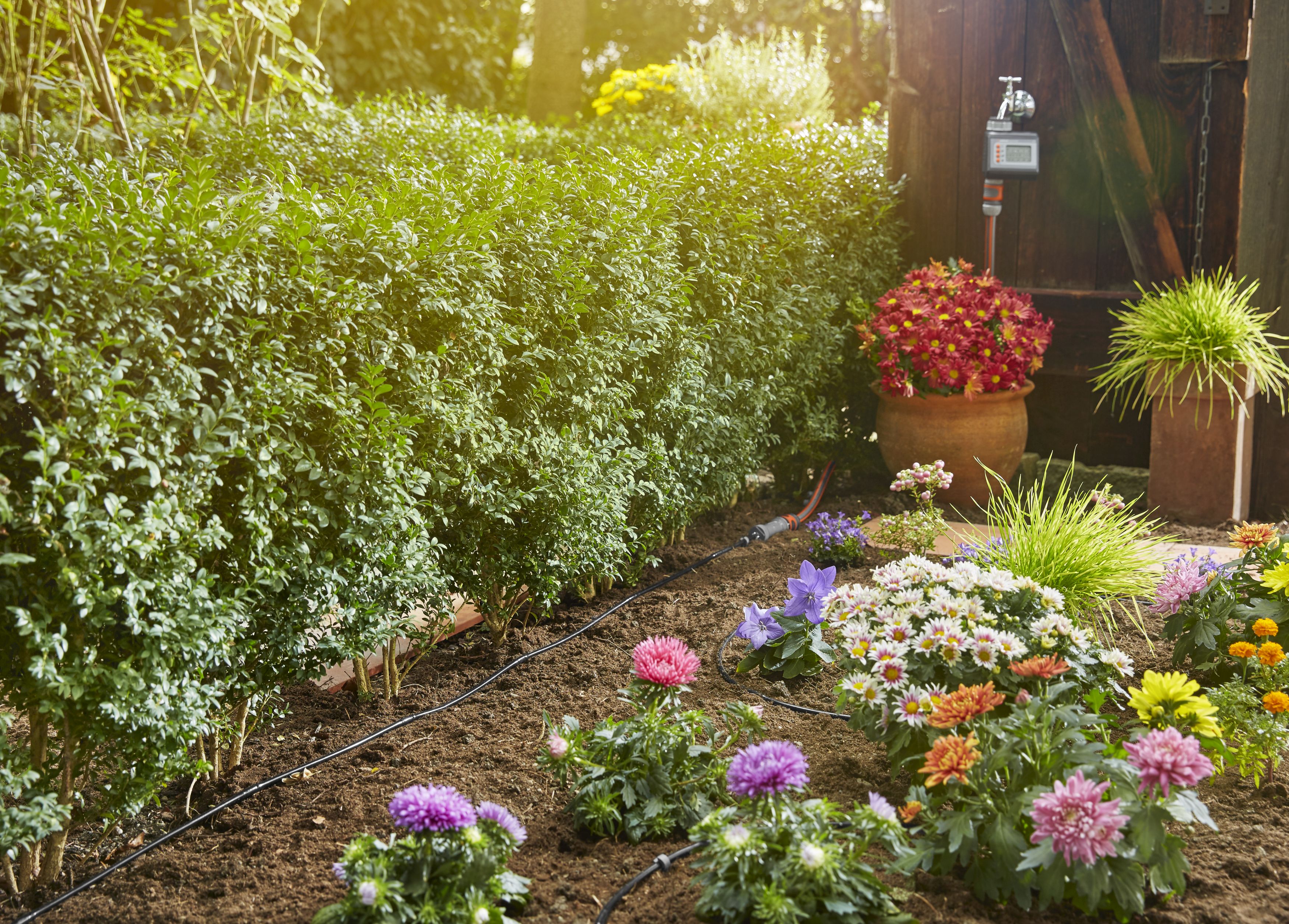 Set de inicio para hileras S 15m