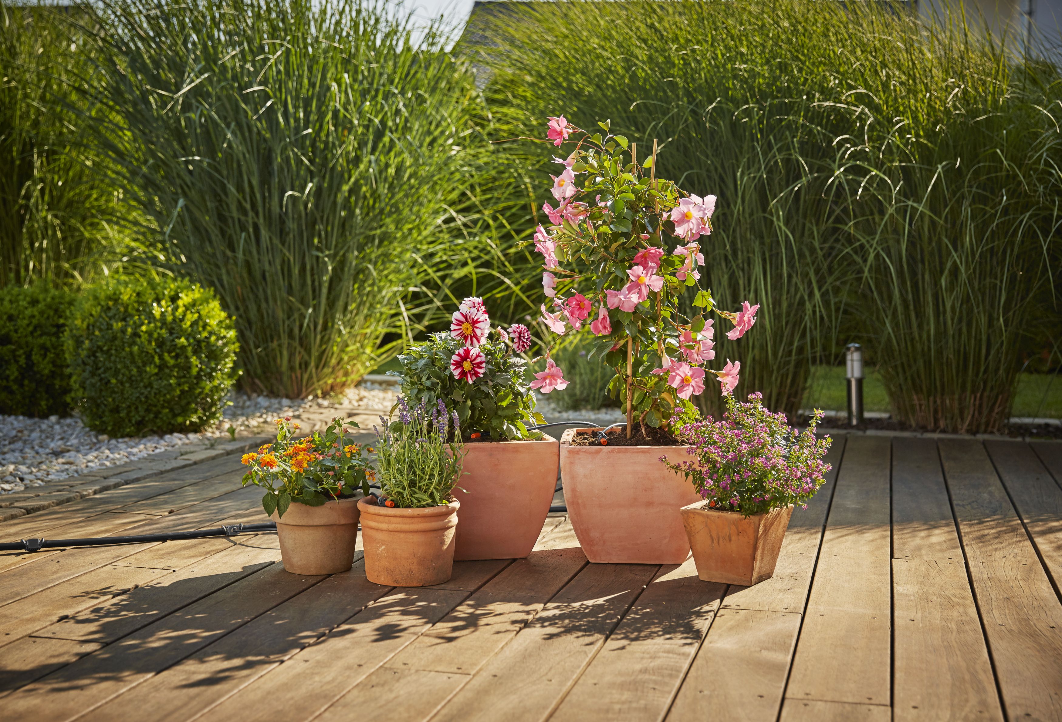 Set de terraza y balcón (Extensión)