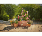 Set de terraza y balcón (Extensión)