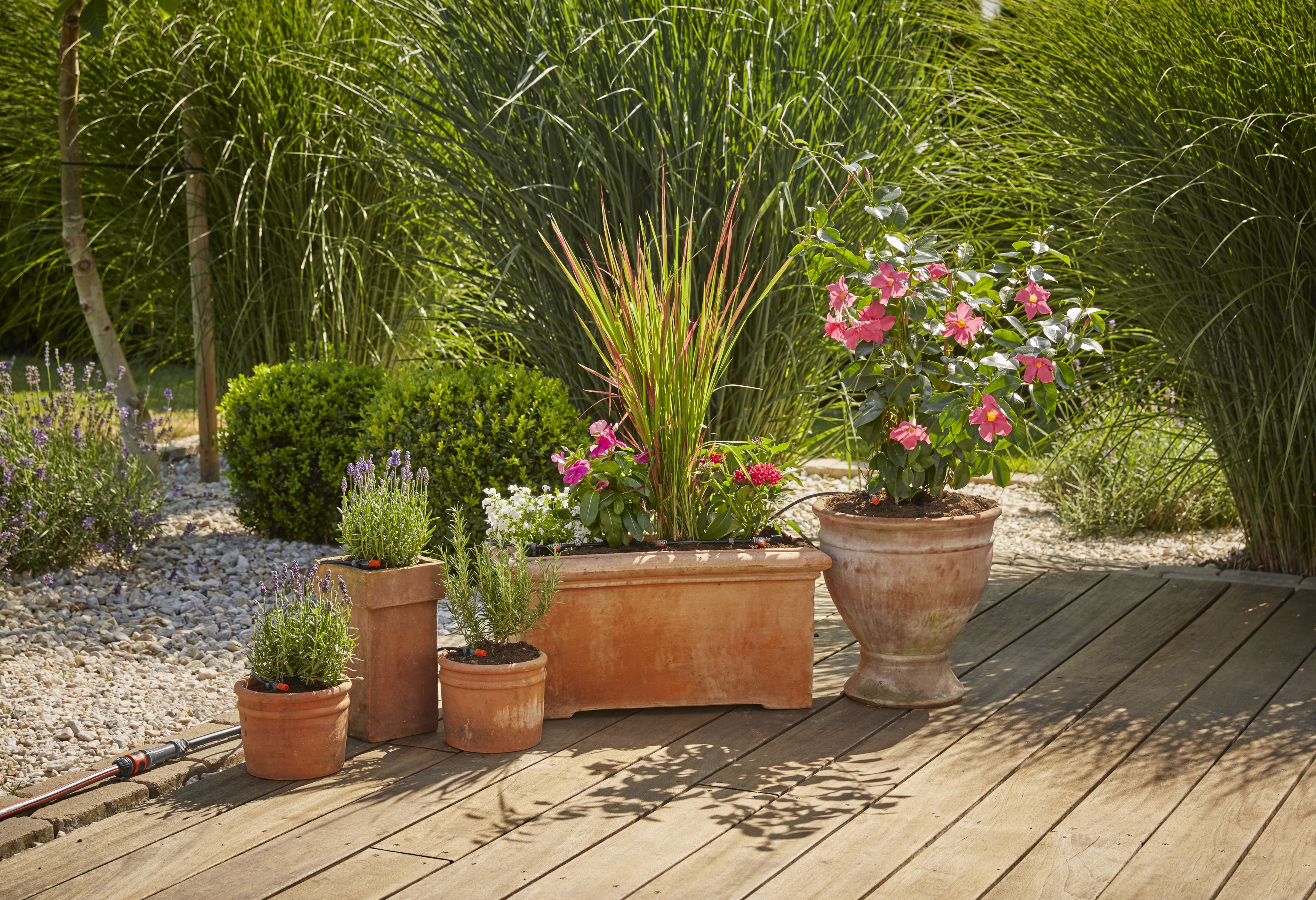 Set de inicio para macetas M