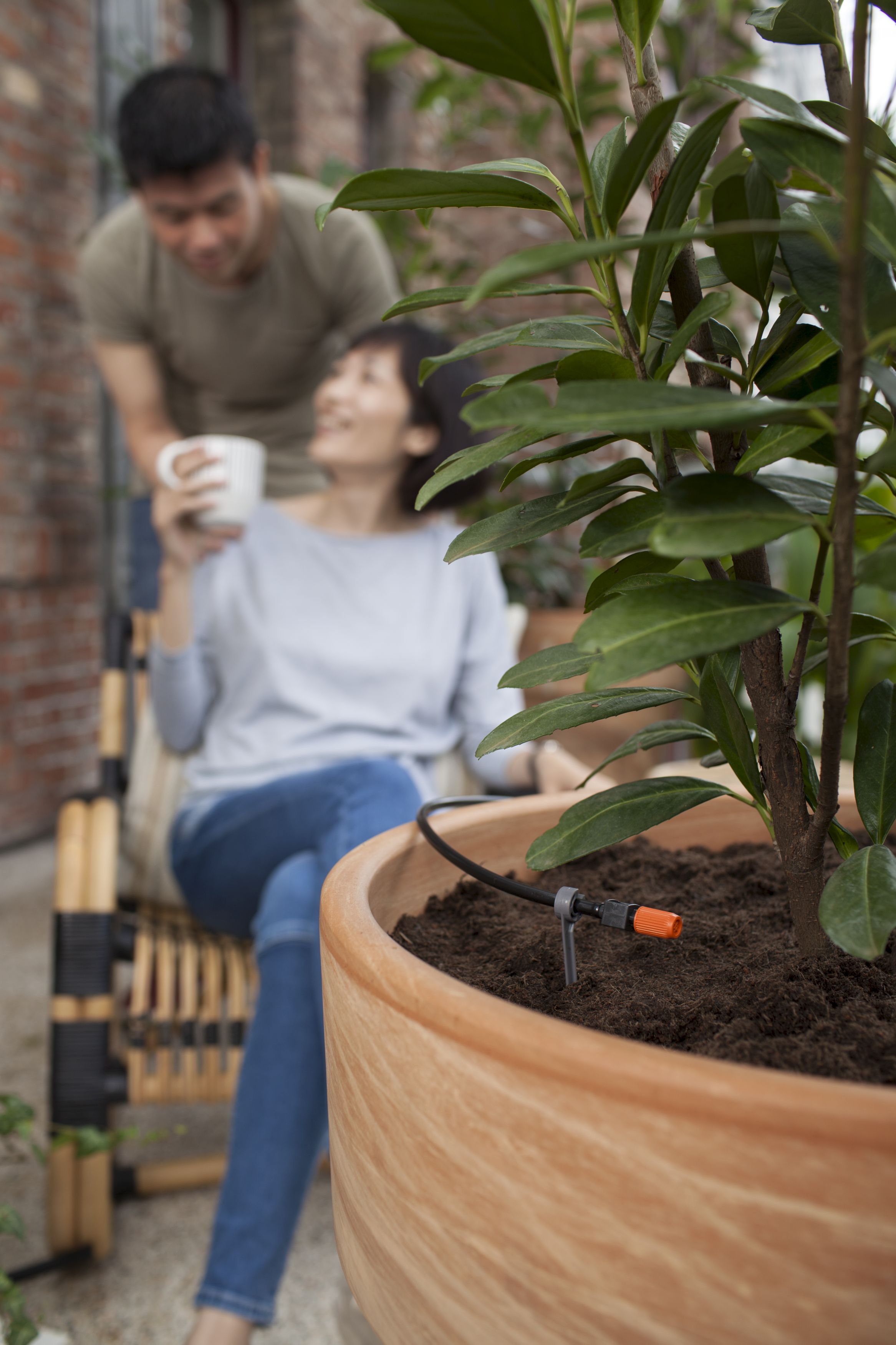 Set de inicio para macetas M