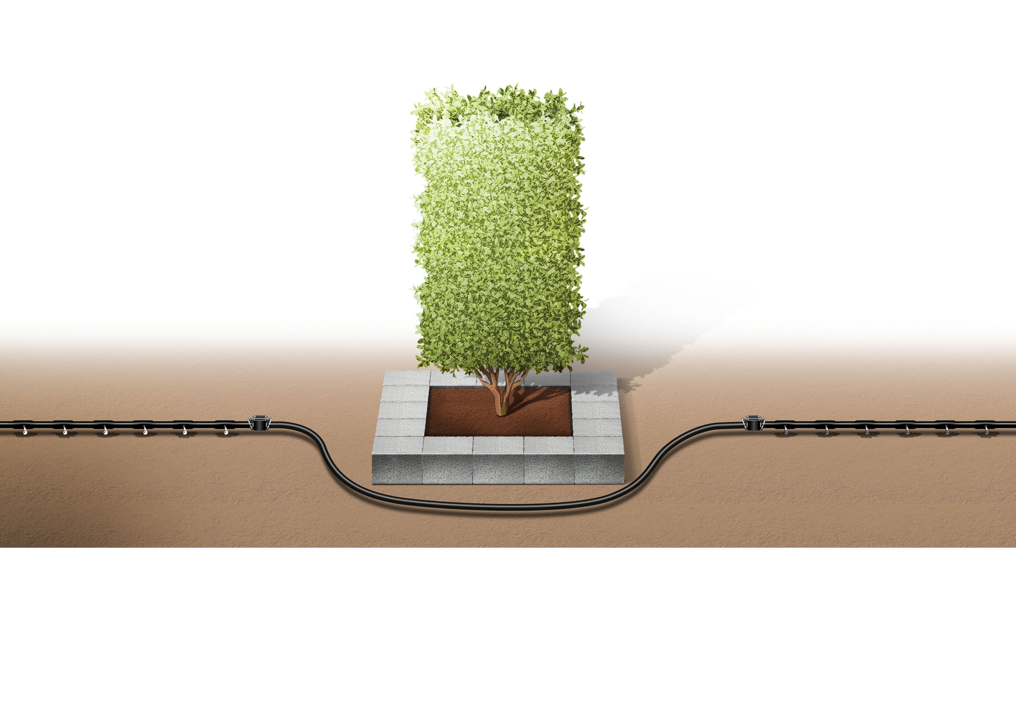 Set de inicio para Hileras de plantas L  50 m