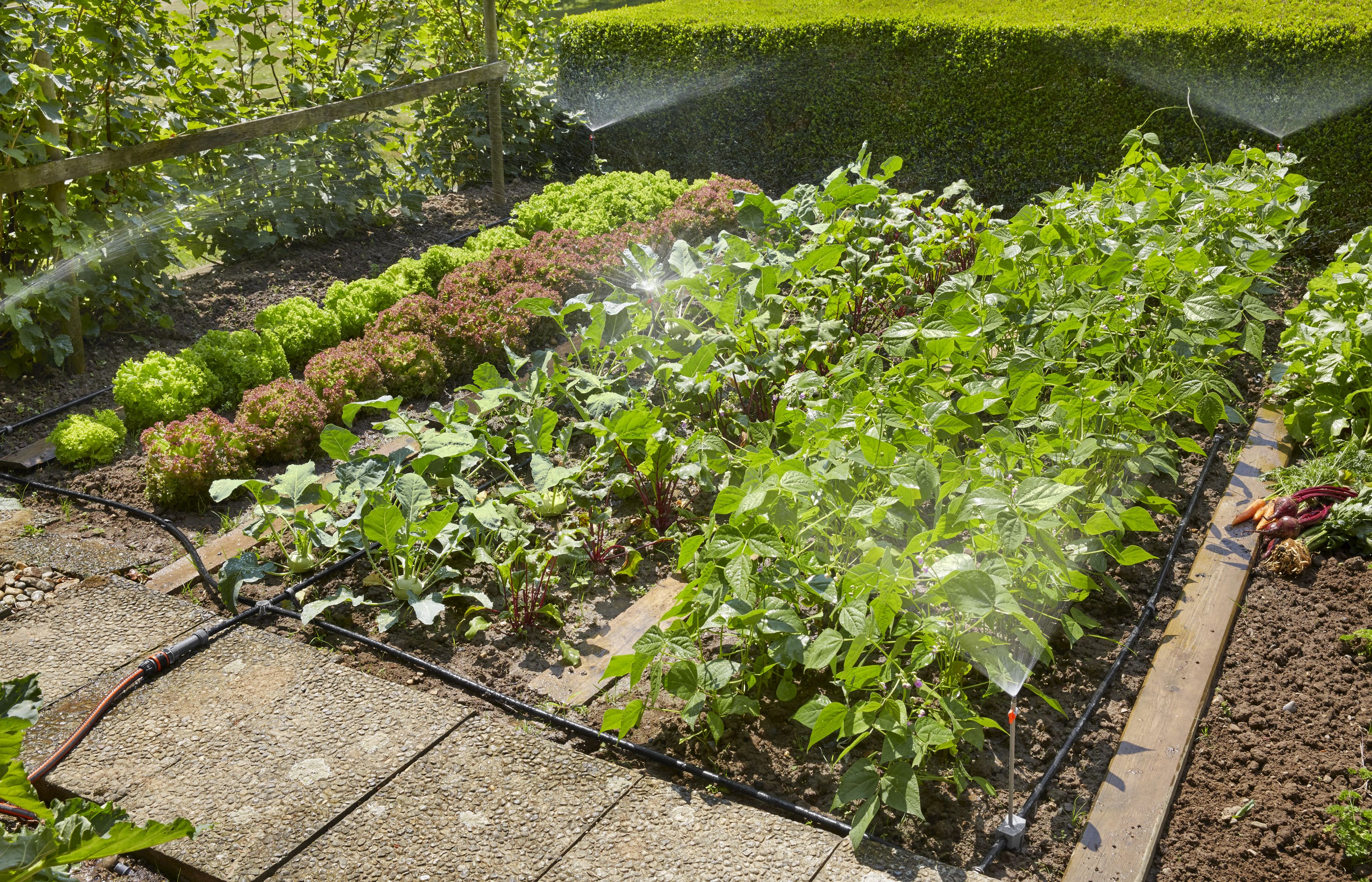 Set de inicio para Parterres