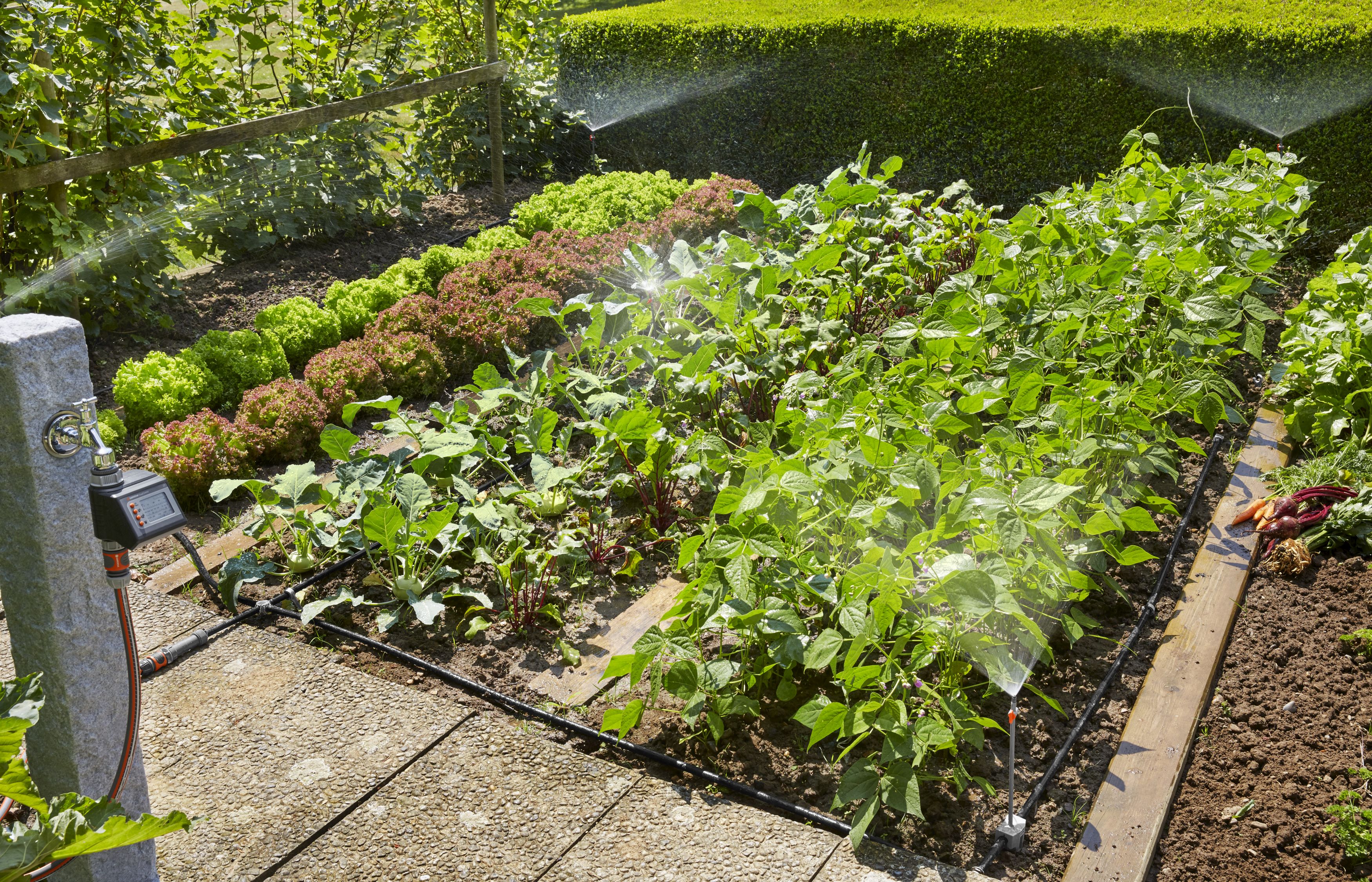 Set de inicio para Parterres